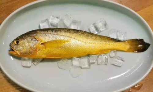 权威一种添加了营养剂的食物平台,分享专业一种添加了营养剂的食物知识_一种添加了营养剂网