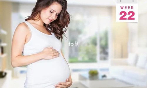 一种添加了营养剂的蔬菜-权威一种添加了营养剂的食物平台,分享专业一种添加了营养剂的食物知识_一种添加了营养剂网